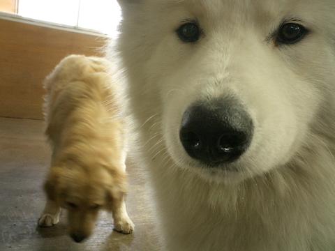 f0025103_158252.jpg