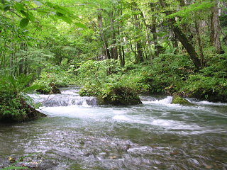 a0055913_123998.jpg