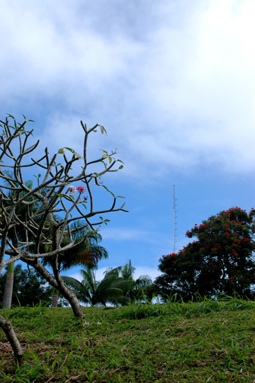 f0009722_124353.jpg