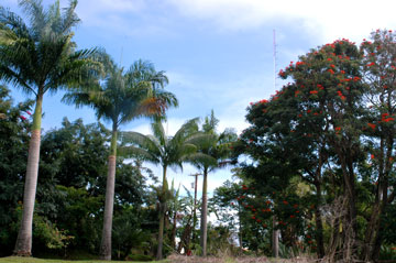 f0009722_12507.jpg