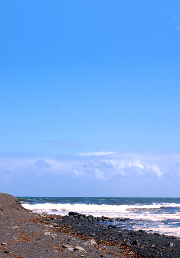f0009722_1255791.jpg