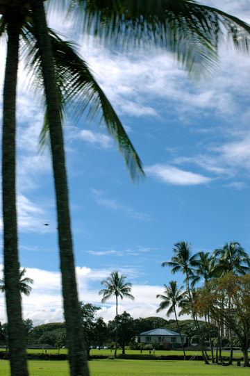 f0009722_1283042.jpg
