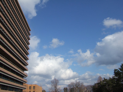 b0013735_1345597.jpg