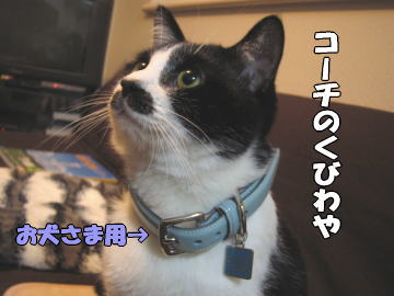 b0041182_7125658.jpg