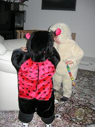 e0012482_6584975.jpg