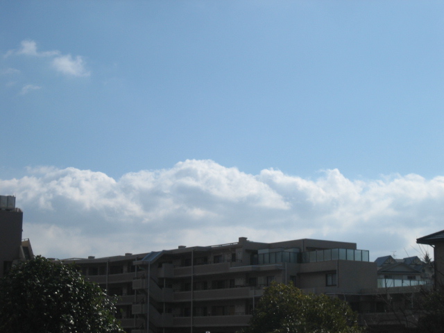 e0051194_2345931.jpg