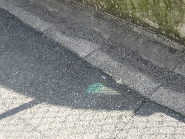 e0051194_236193.jpg