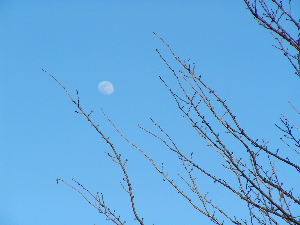 c0034396_1123821.jpg