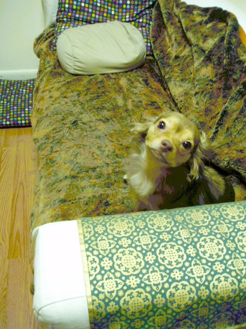 c0037103_14503273.jpg