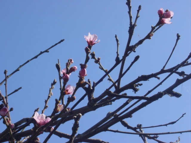 c0048504_825067.jpg