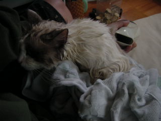c0024410_20473485.jpg