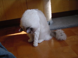 c0024410_20493235.jpg