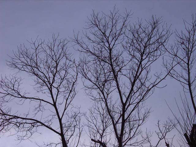 b0032921_2315183.jpg