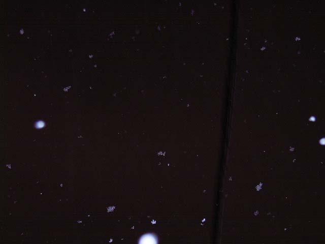 b0032921_23183715.jpg