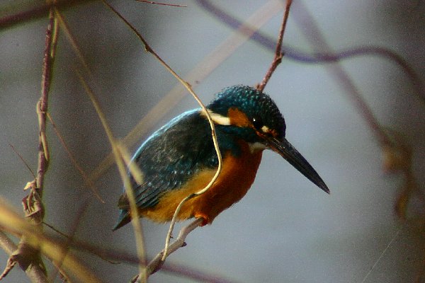 f0031423_7582736.jpg