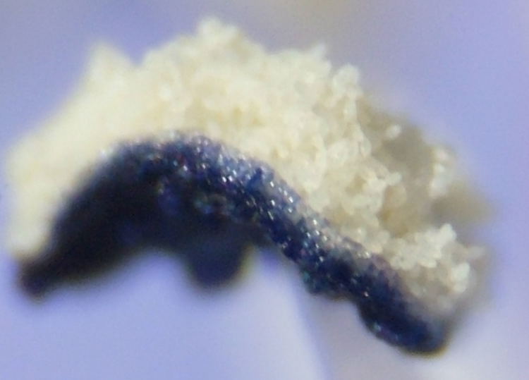 f0030527_21502499.jpg