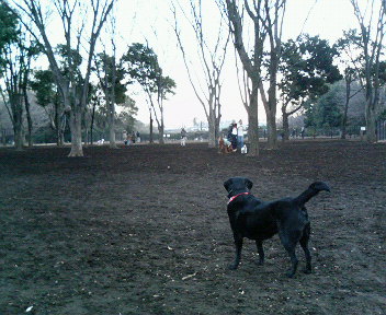 a0040736_11351277.jpg