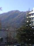 c0070940_356619.jpg