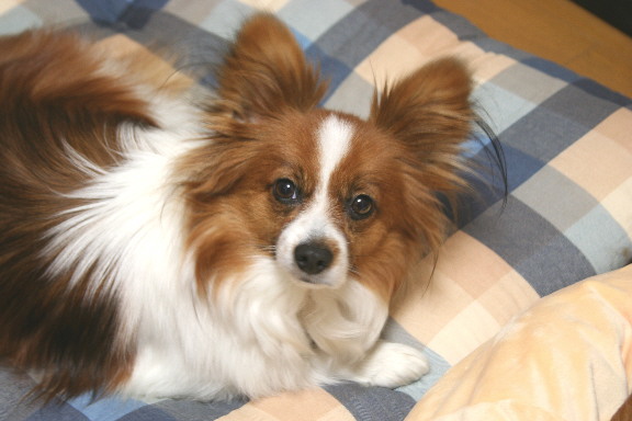 d0013149_21145581.jpg