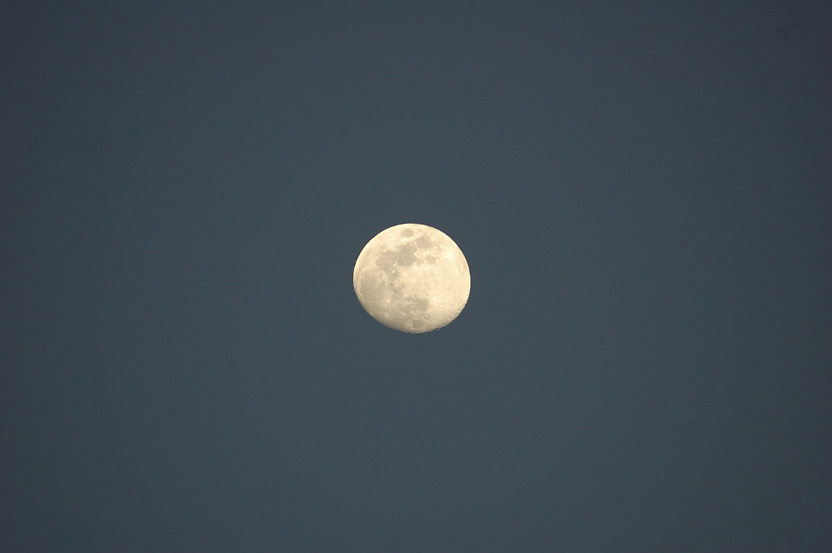 b0030558_1343640.jpg