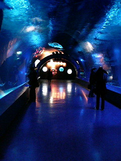 e0089761_3534334.jpg