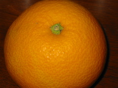 b0039373_11152692.jpg