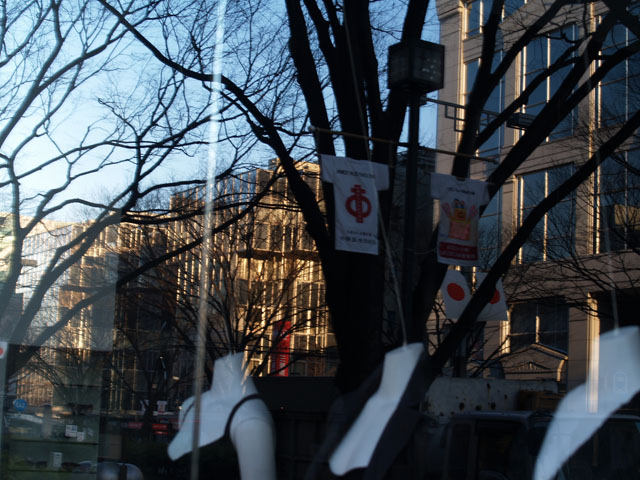 f0024992_195652.jpg