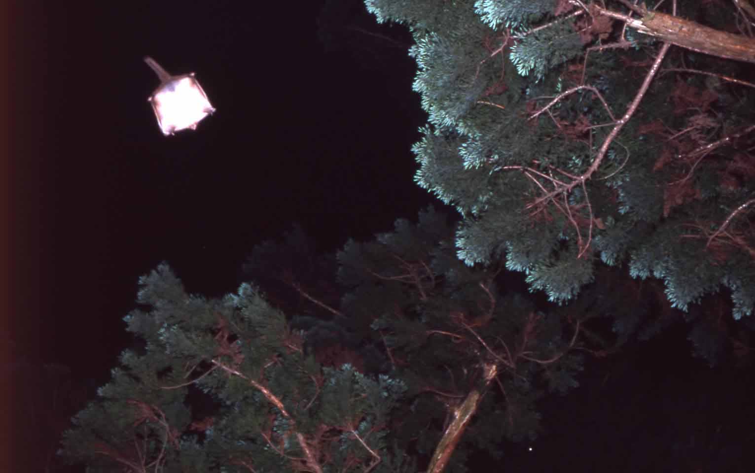 f0047593_13404379.jpg