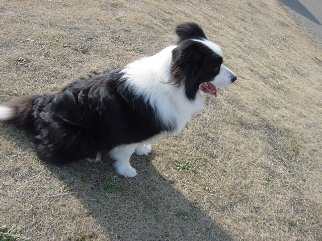 e0028401_2273976.jpg