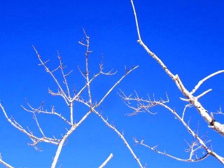 c0054902_22593723.jpg