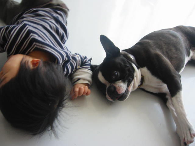b0027203_21232739.jpg