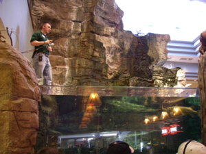 a0049808_2212942.jpg