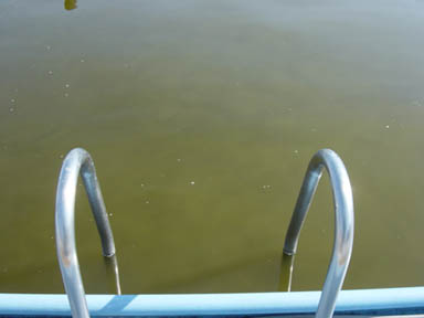 e0049811_1133893.jpg