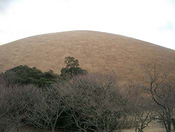 e0034012_22402045.jpg