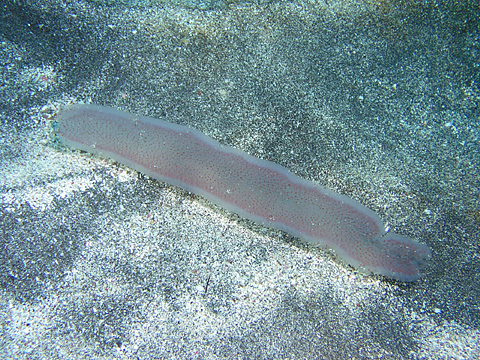 c0034029_9235369.jpg