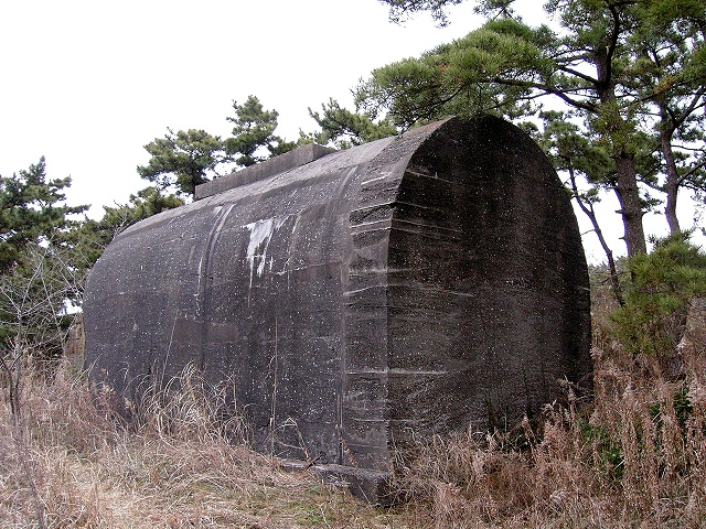 c0046131_1956267.jpg