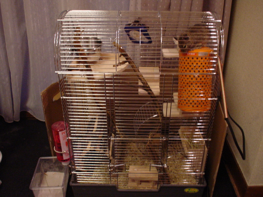 f0068234_18354135.jpg
