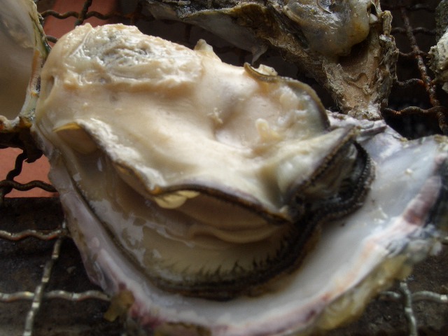 f0009451_20321427.jpg