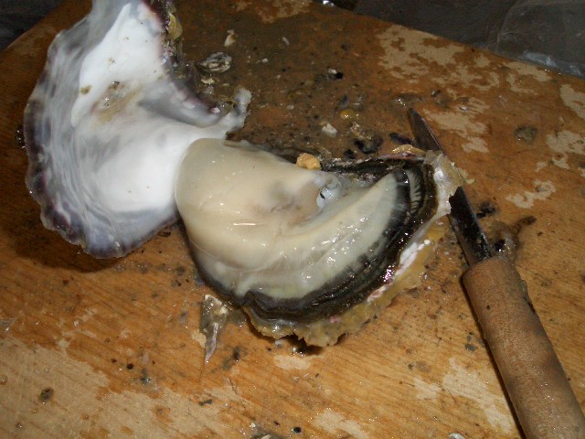 f0009451_20333431.jpg
