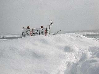 e0004756_2028451.jpg