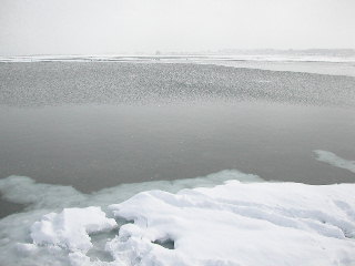 e0004756_20292648.jpg
