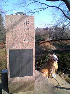 e0019967_180146.jpg