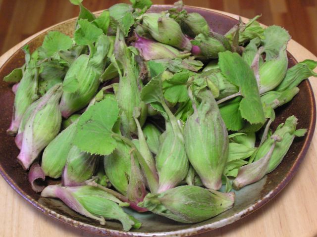 c0042869_14124197.jpg