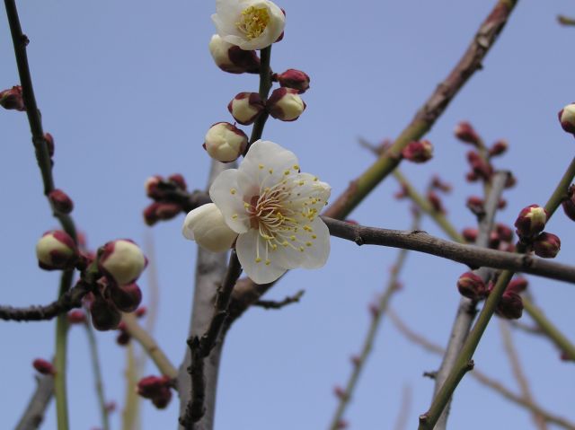 c0042869_14144257.jpg