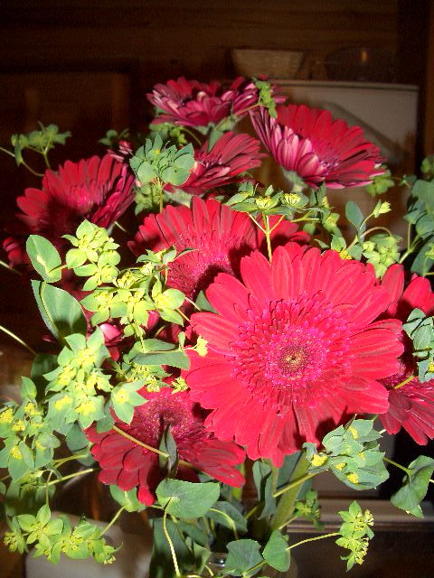 d0052770_23244440.jpg