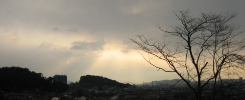 d0039075_1651556.jpg