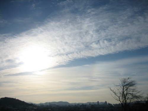 d0039075_1657432.jpg