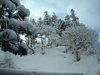 c0068891_21135098.jpg