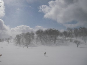 a0043193_2020258.jpg