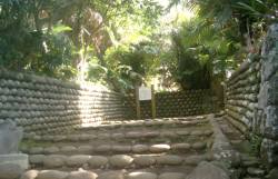 e0089001_012693.jpg